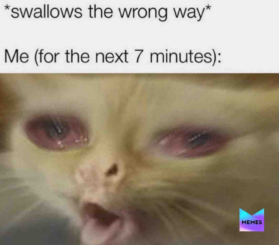 #memes  #funny  #lol  #hilarious