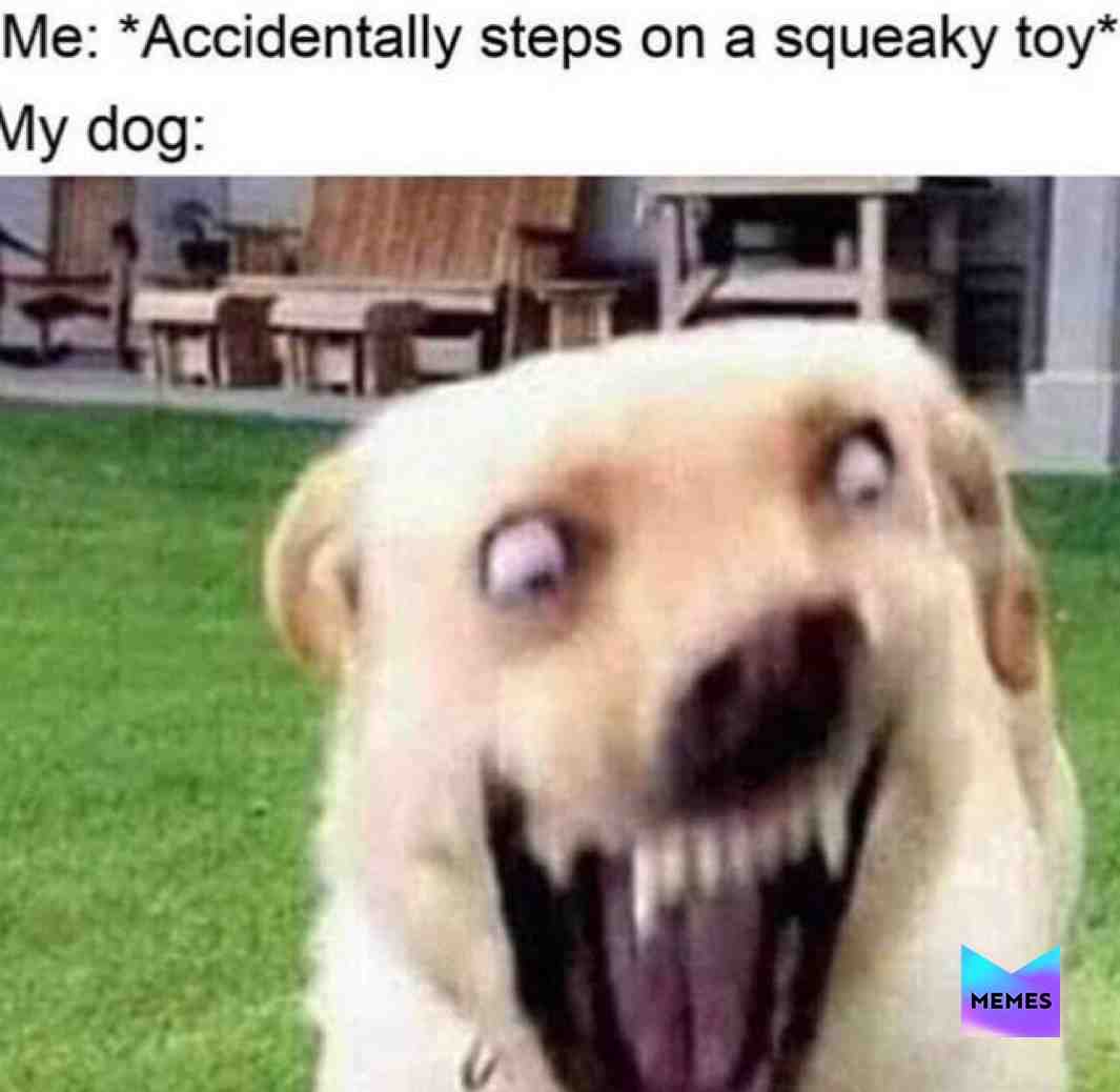 #memes  #funny  #lol  #hilarious