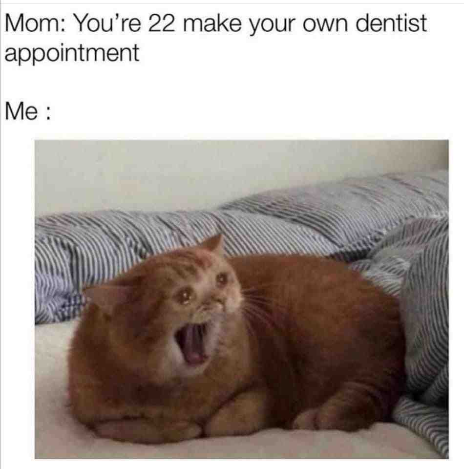 ​ #meme  #relatable  #dailymemes  #funnymemes  #lmao  #comedy  #viral  #bestmemes  #foryou  #foryoupage
