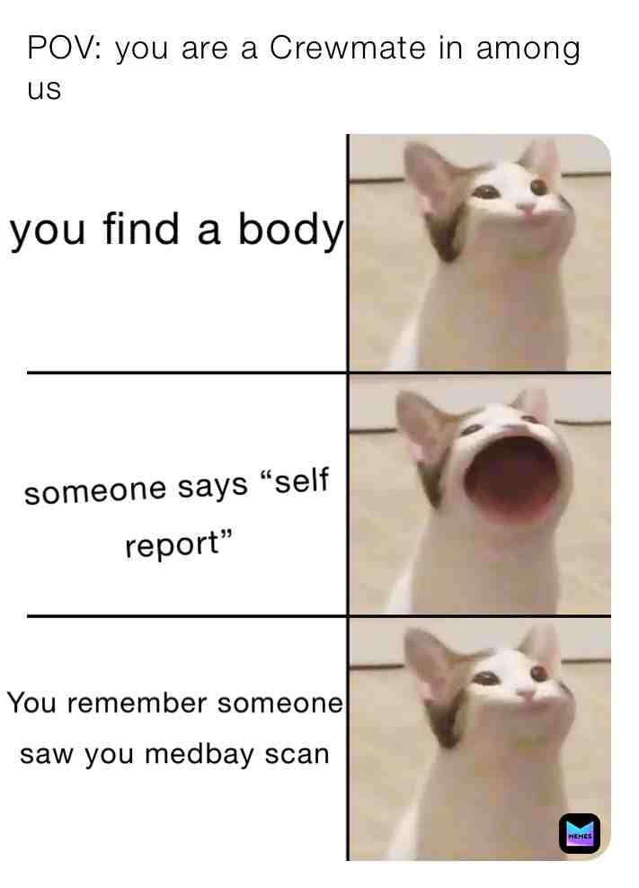 Is this just me or not