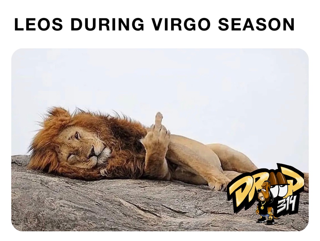 Leos during Virgo season