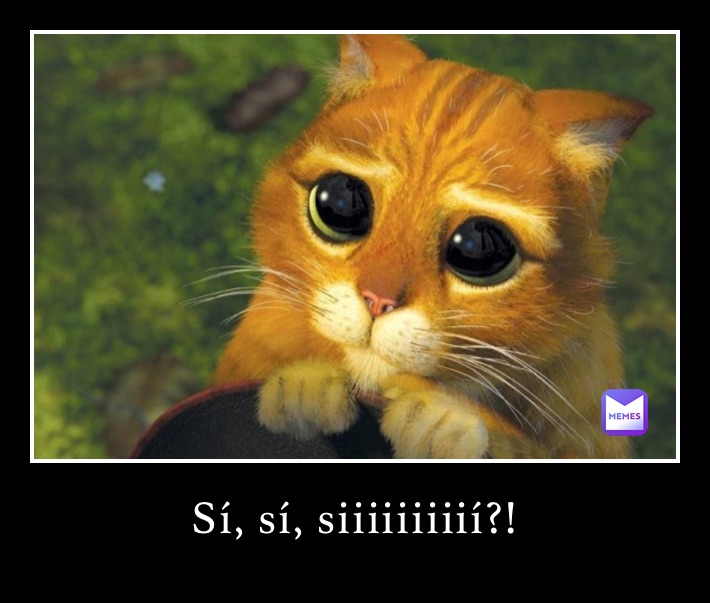 Sí, sí, siiiiiiiiií?!