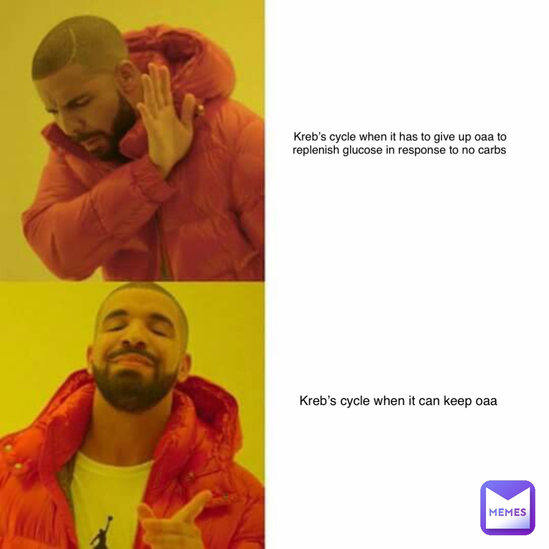 Kreb’s Cycle when it has to give up OAA to replenish glucose in response to no Carbs Kreb’s cycle when it can keep OAA