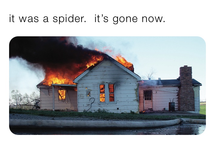 it was a spider.  it’s gone now.  