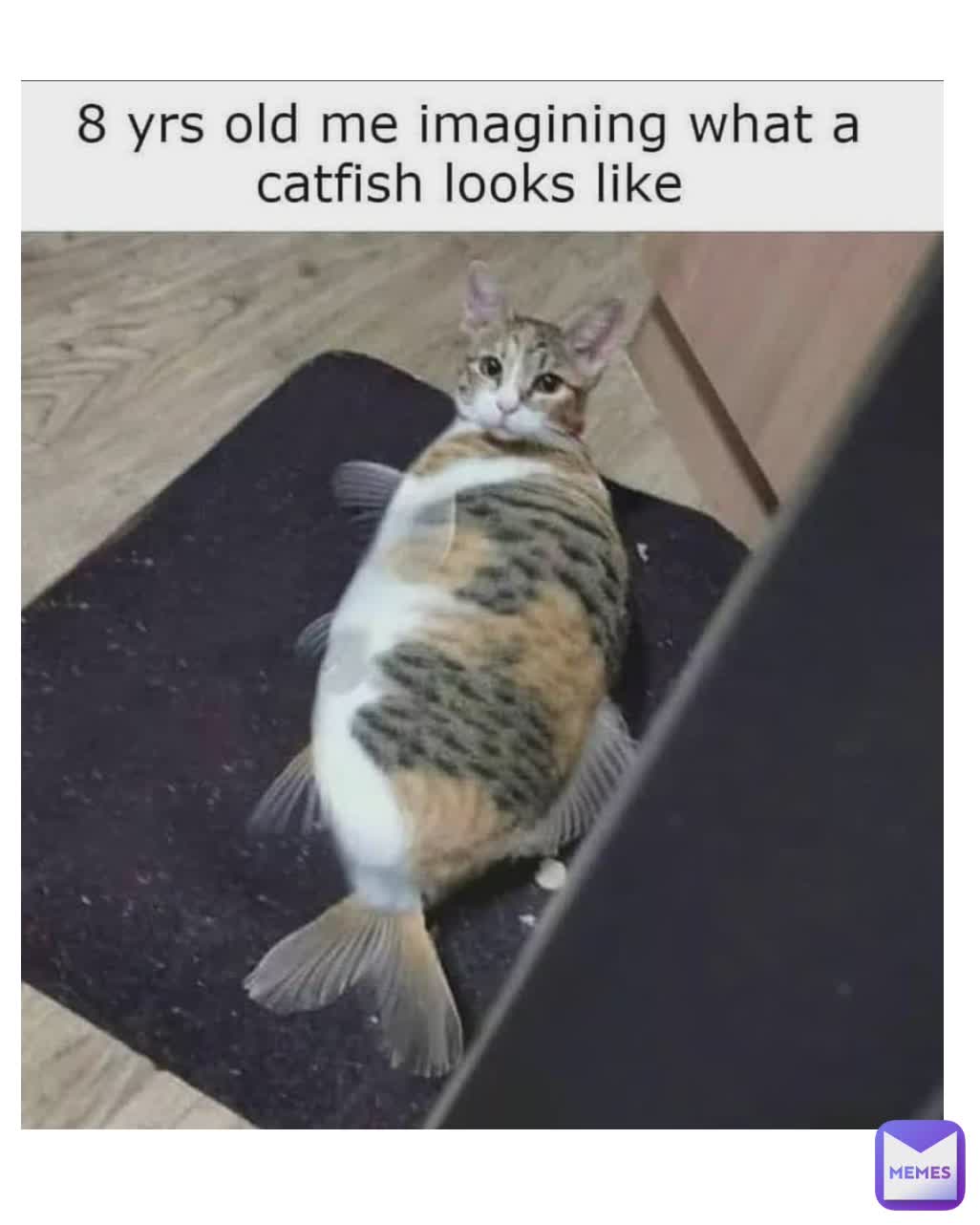 Meme by NOTF1memes74