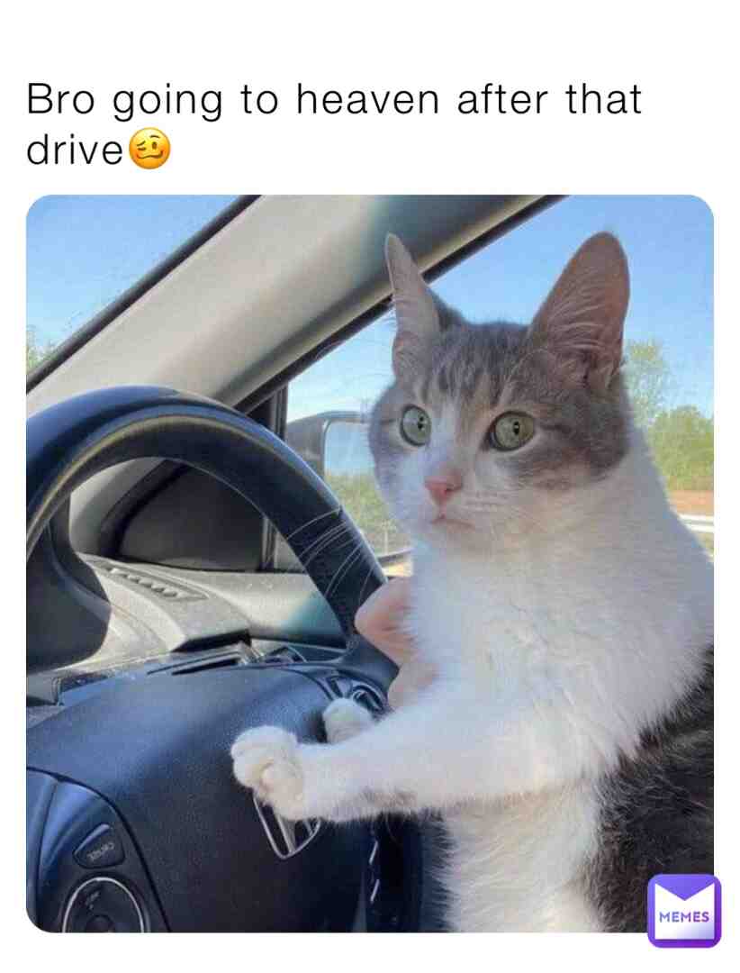 Meme preview