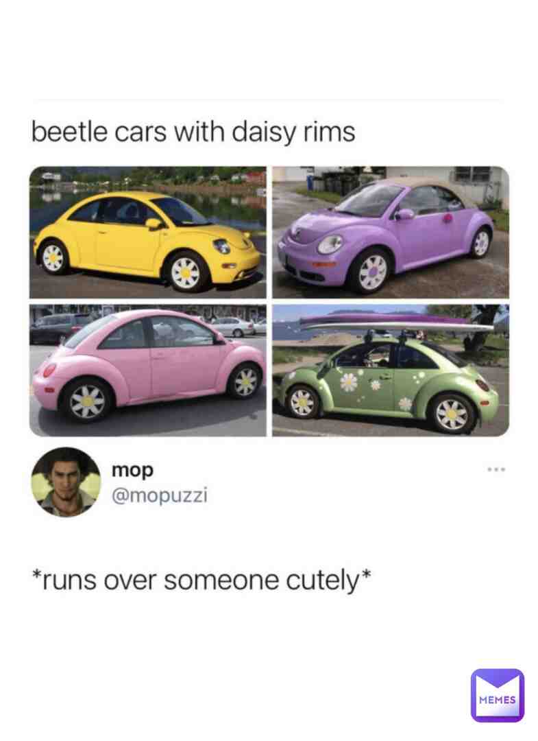 meme of the day