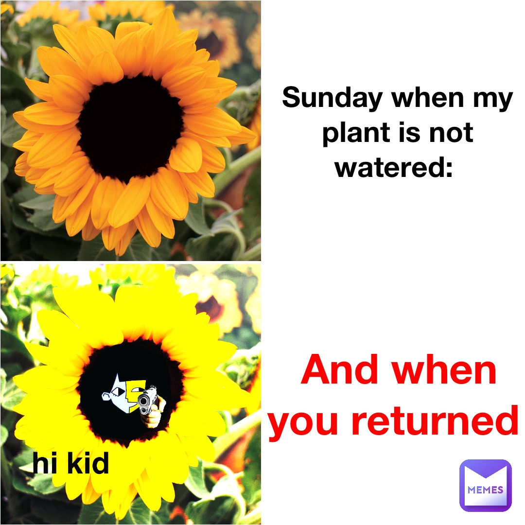 Sunday when my plant is not watered: And when you returned