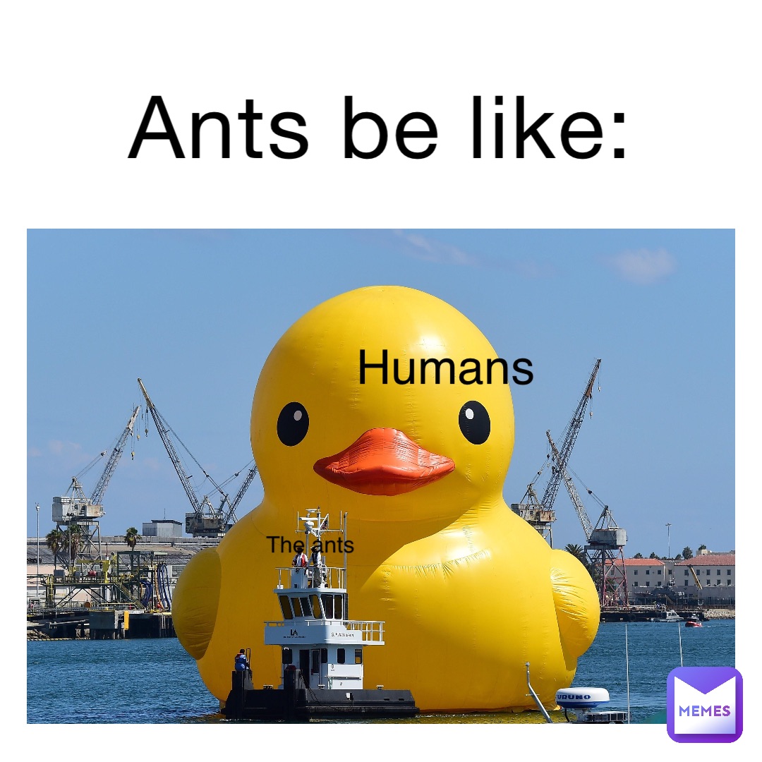 Ants be like: Humans The ants