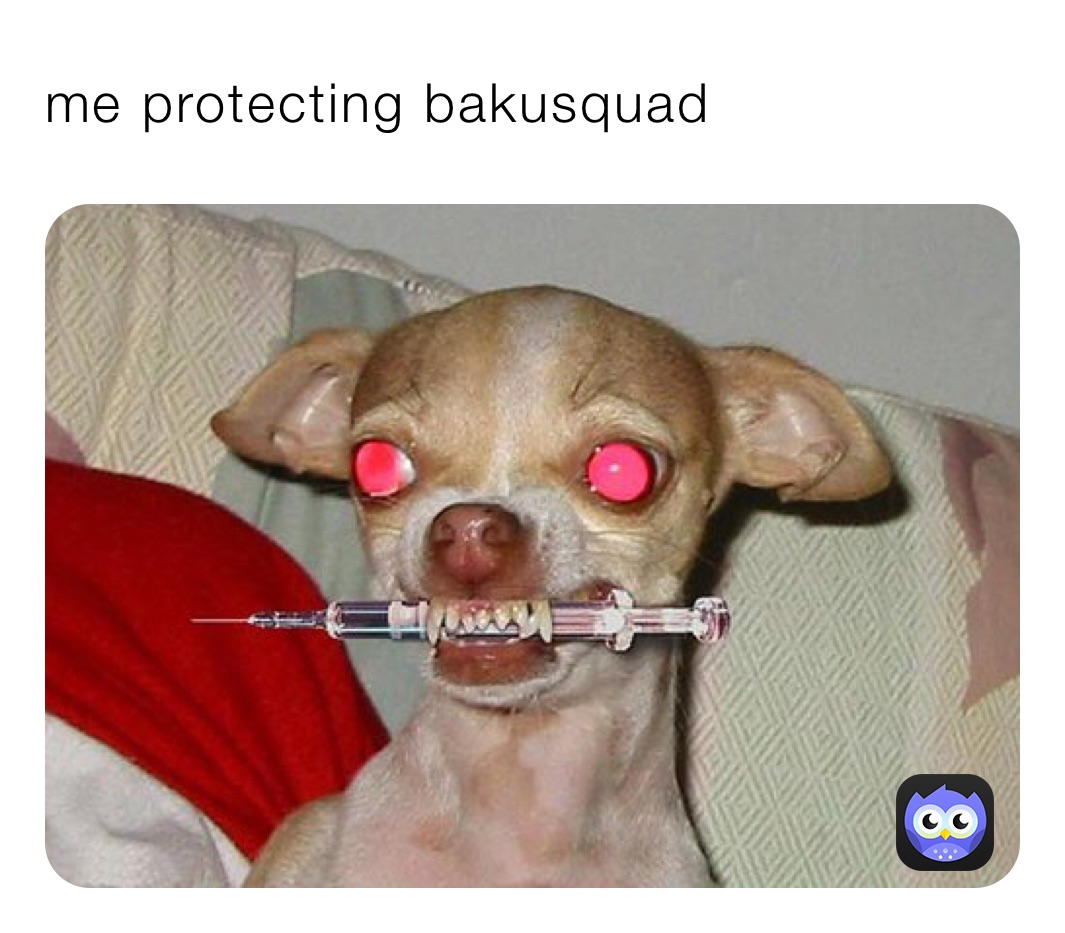 me protecting bakusquad 