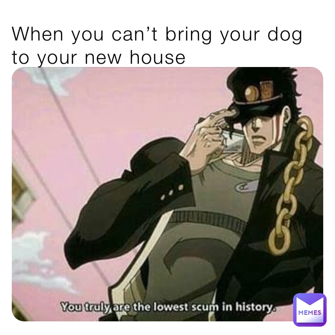 When you can’t bring your dog to your new house