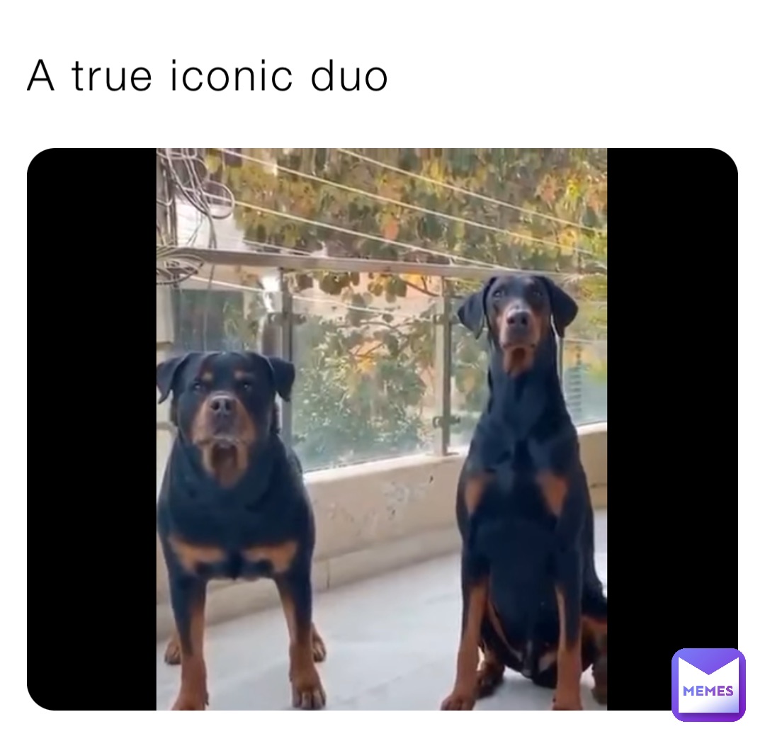 A true iconic duo