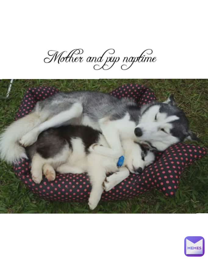 Mother and pup naptime