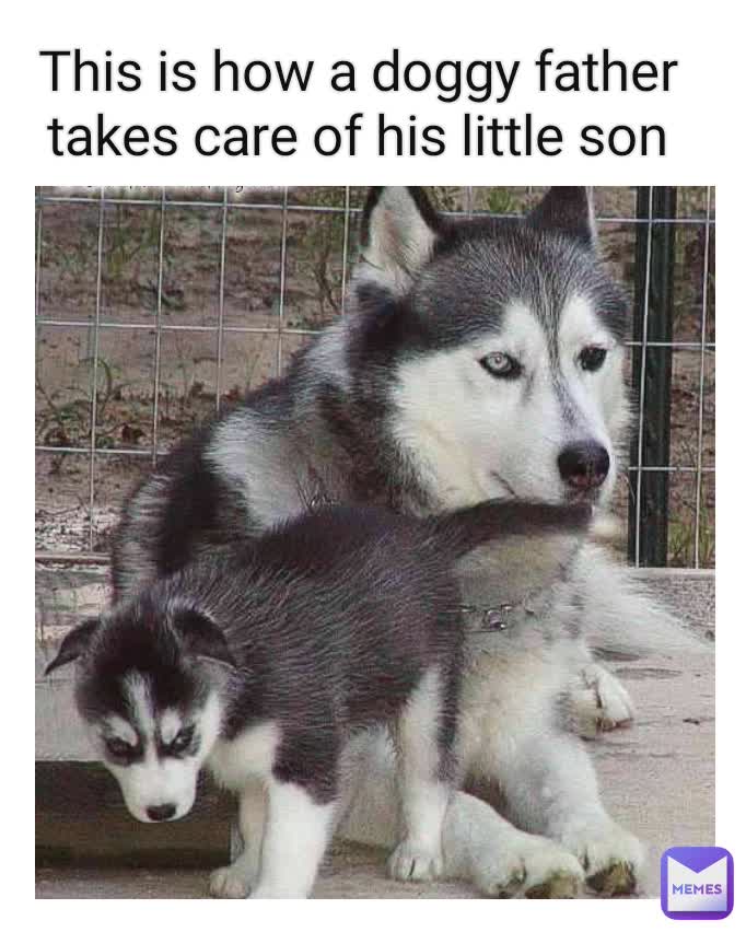 This is how a doggy father takes care of his little son