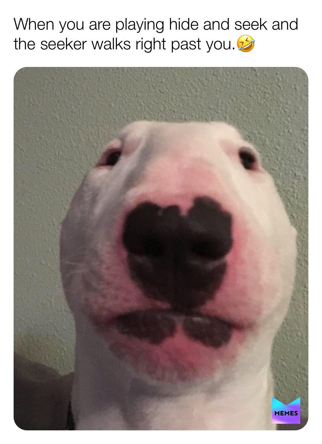 Meme by pickle_wickle