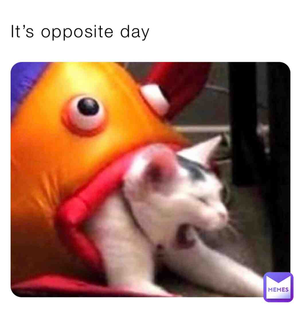 Meme shared by @will_i_am1