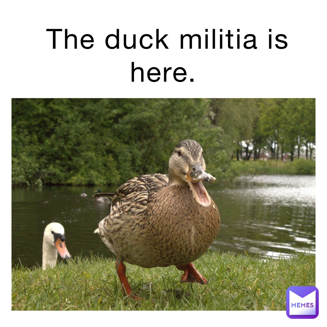 The Duck Militia is here.