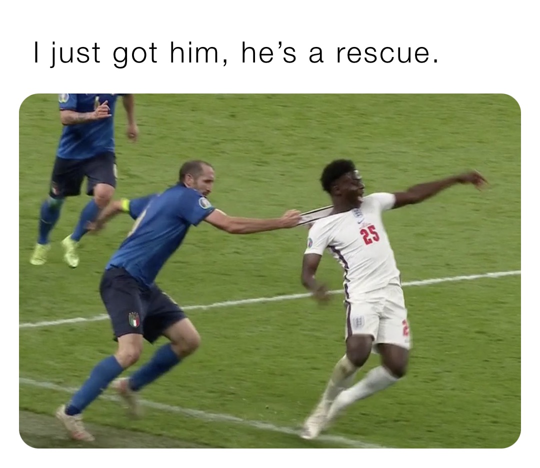 I just got him, he’s a rescue.