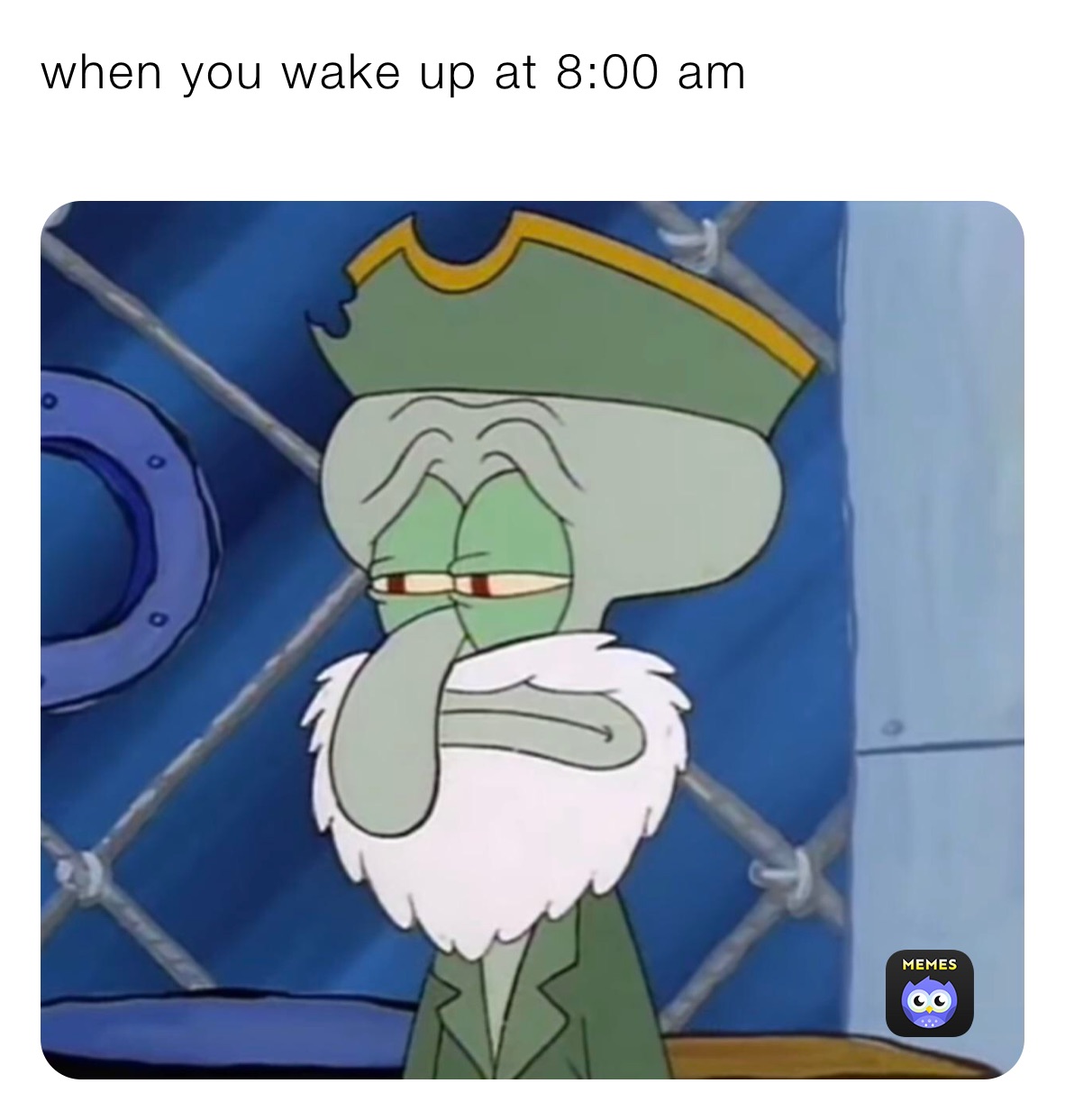 when you wake up at 8:00 am
