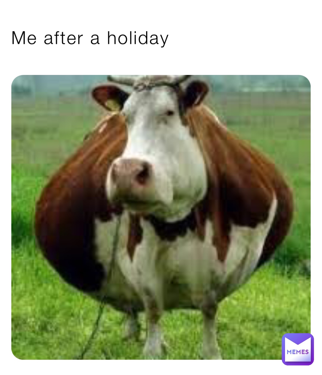 Me after a holiday