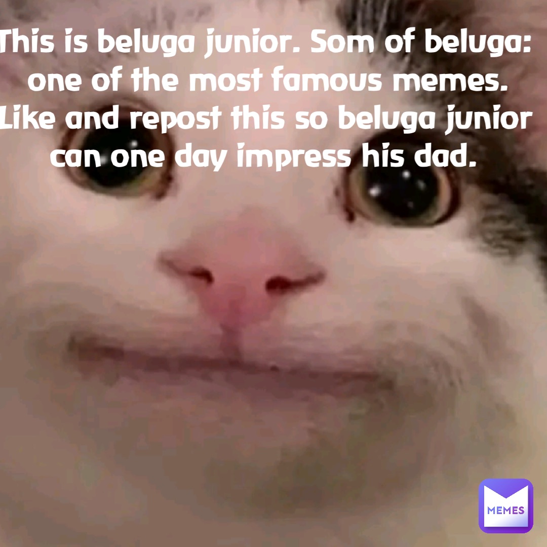 This is beluga junior. Som of beluga: one of the most famous memes. Like and repost this so beluga junior can one day impress his dad.