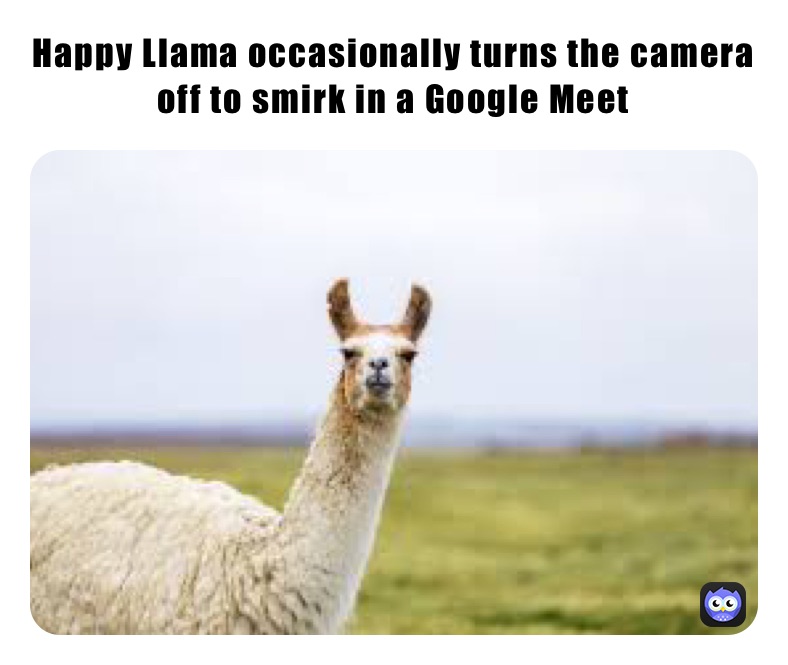happy llama