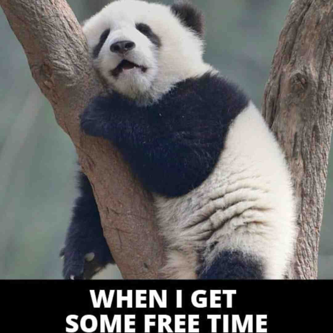 Relatable ??
#memes #memedaily #funny