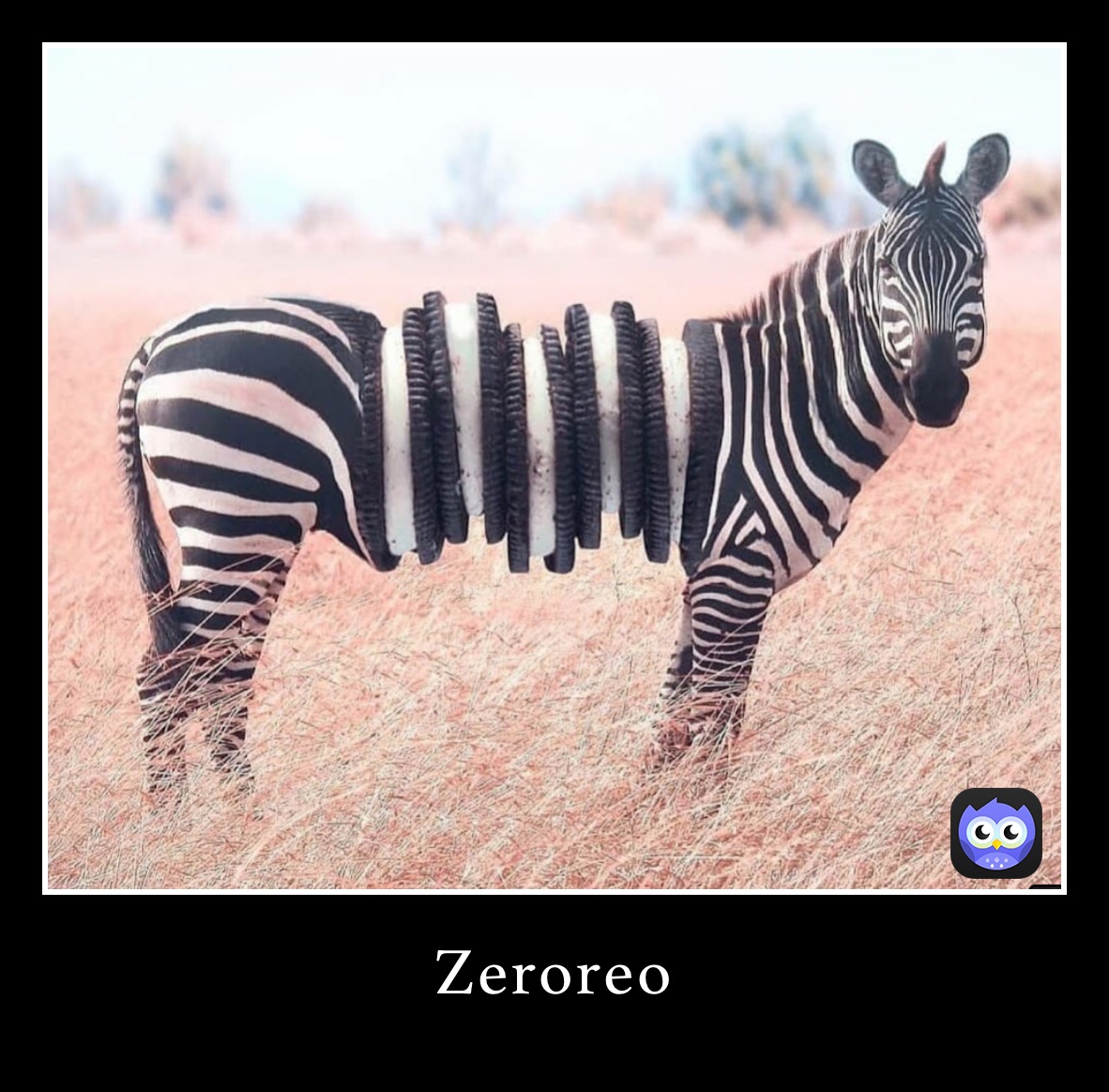 Zeroreo