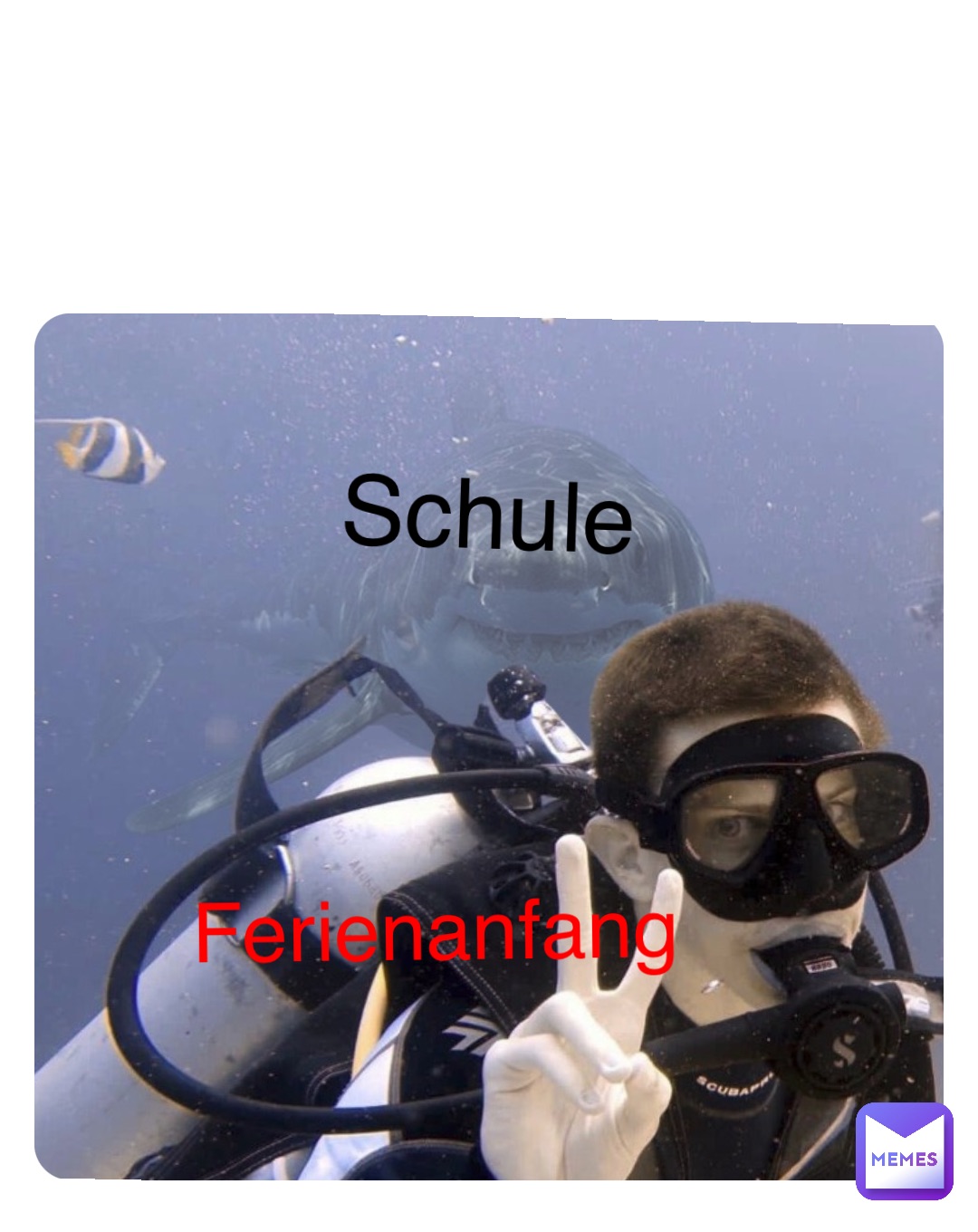 Meme by protectsnakez