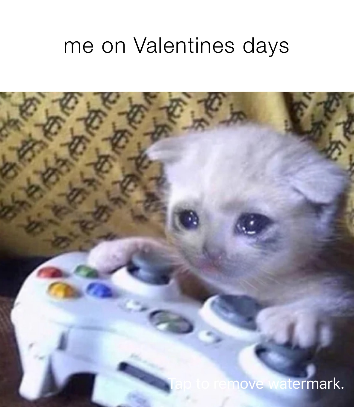 me on Valentines days 