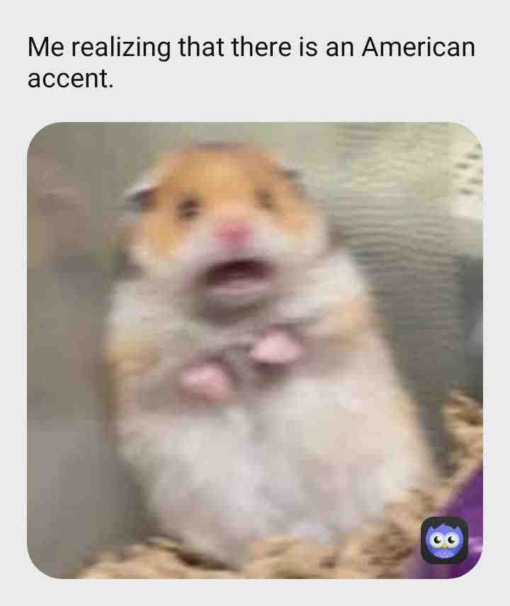 Meme preview