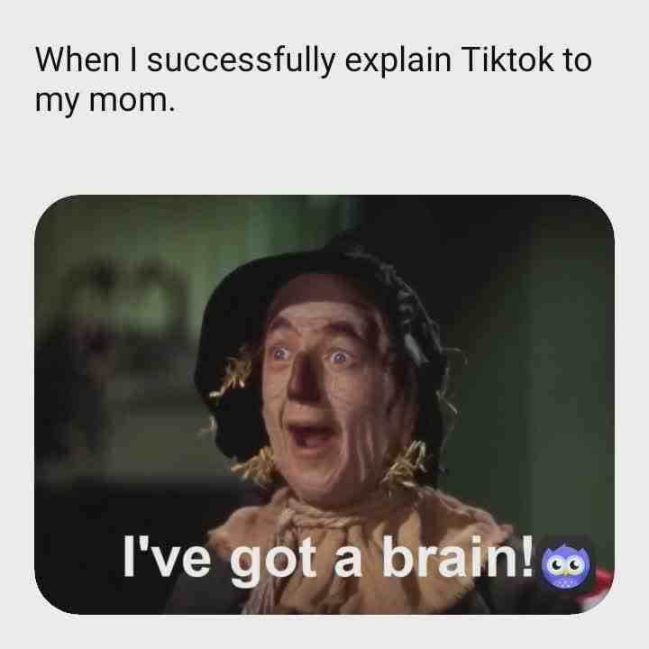 Meme preview