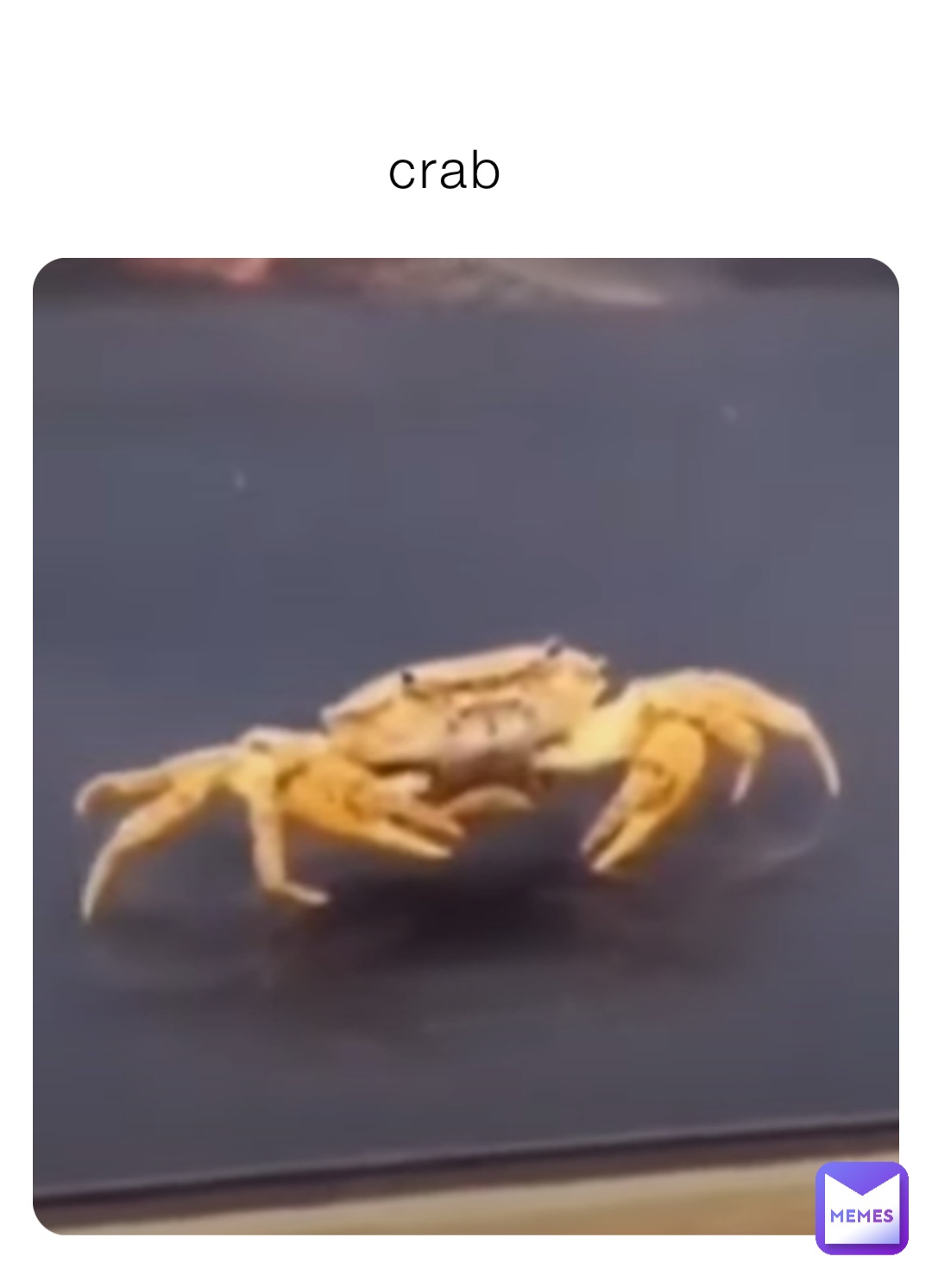 crab