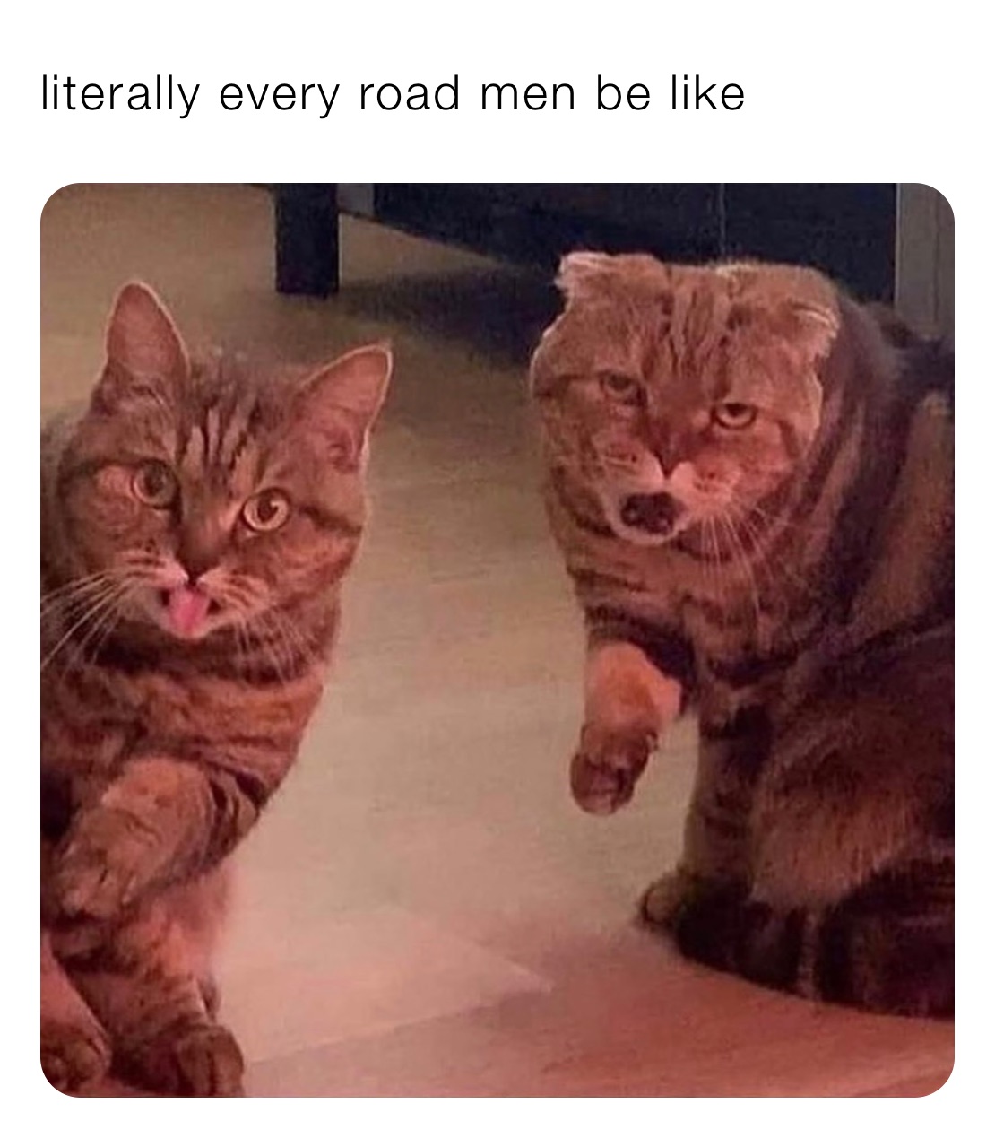 literally every road men be like