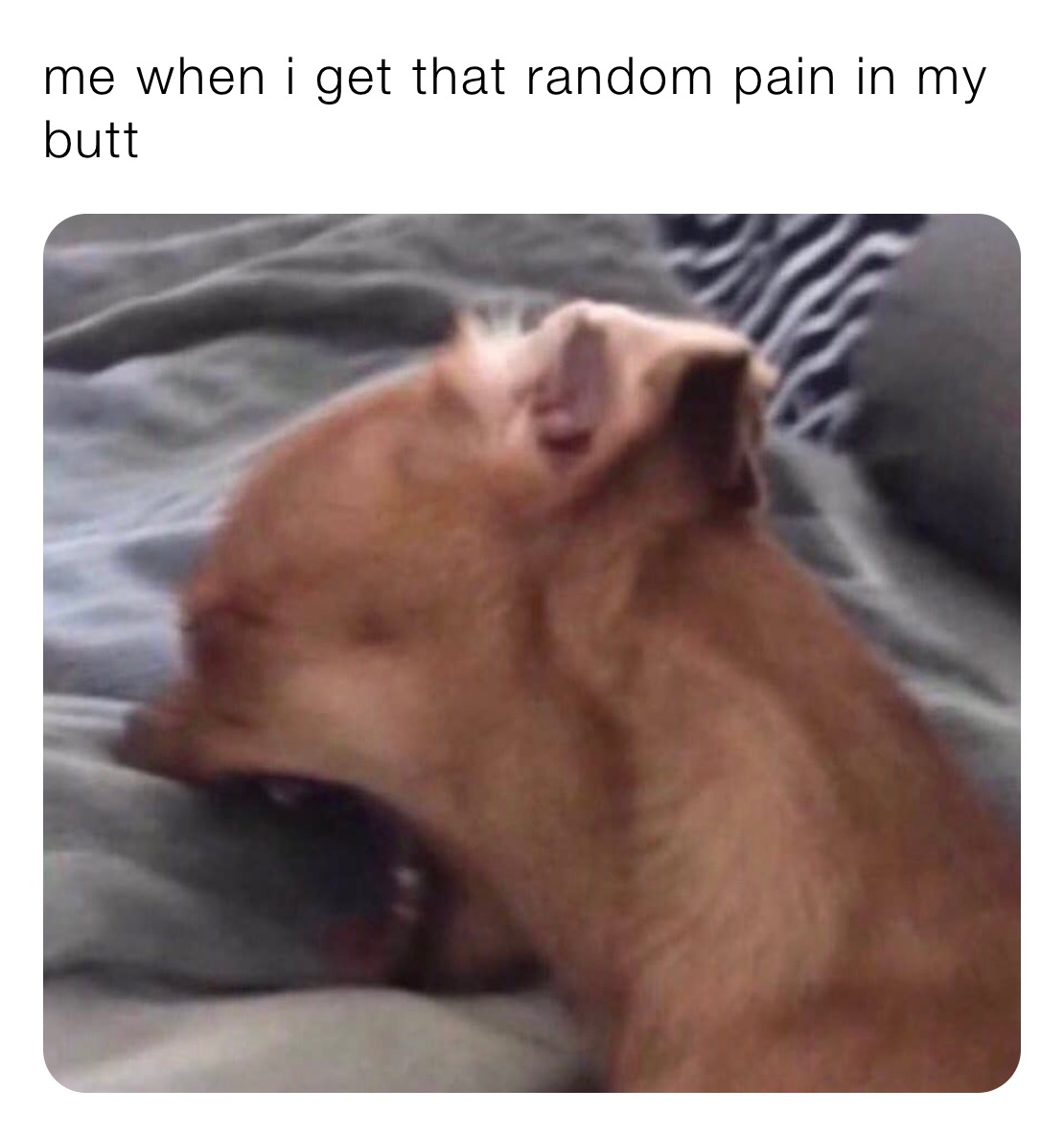 me when i get that random pain in my butt