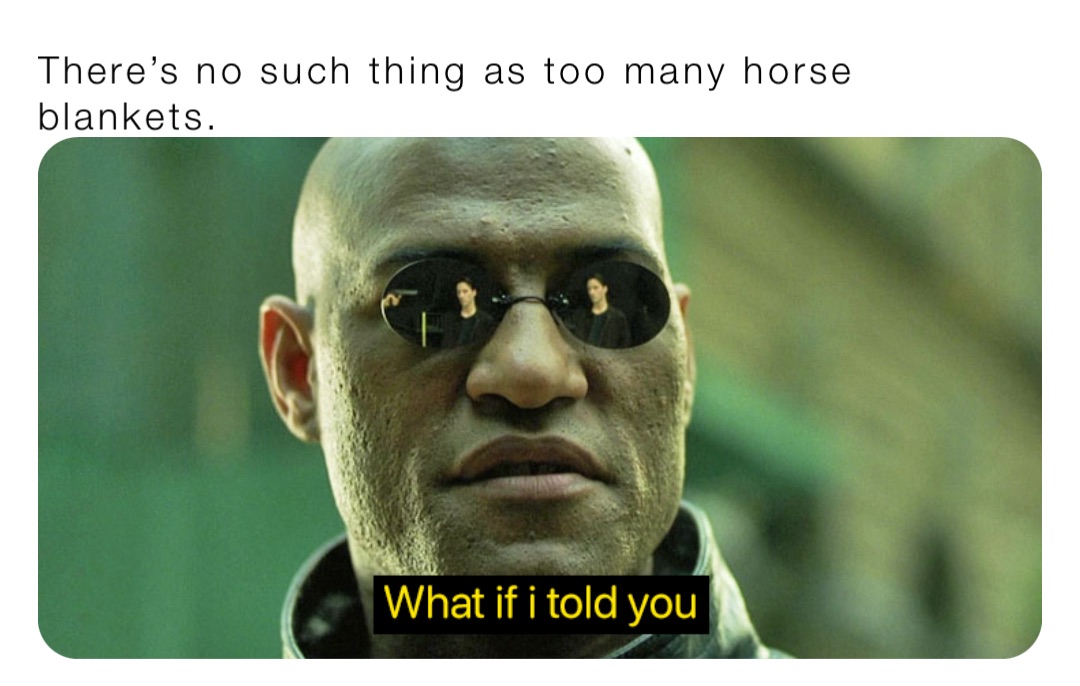There’s no such thing as too many horse blankets. kkboese Memes