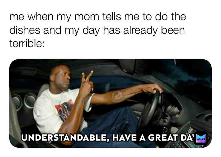 Meme shared by @memerman64290