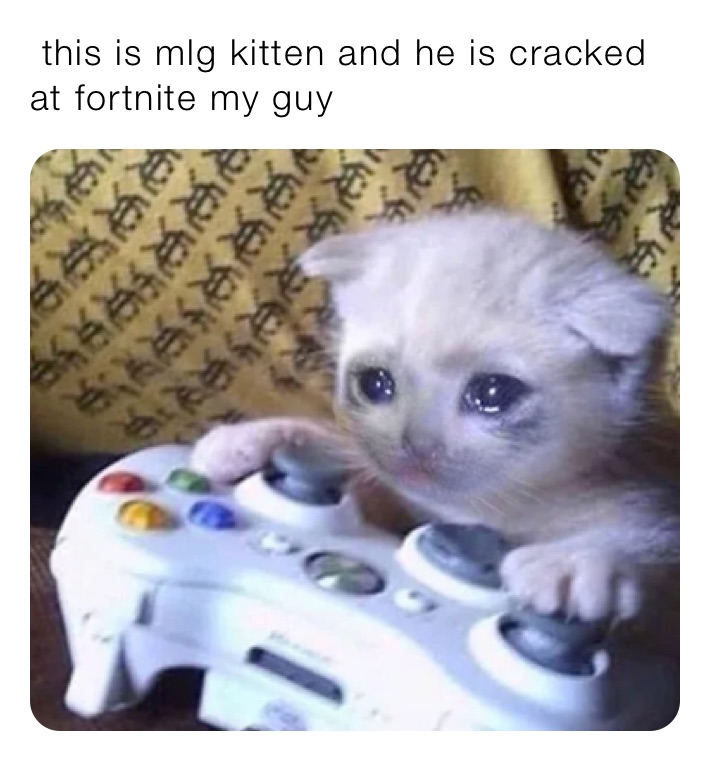  this is mlg kitten and he is cracked at fortnite my guy