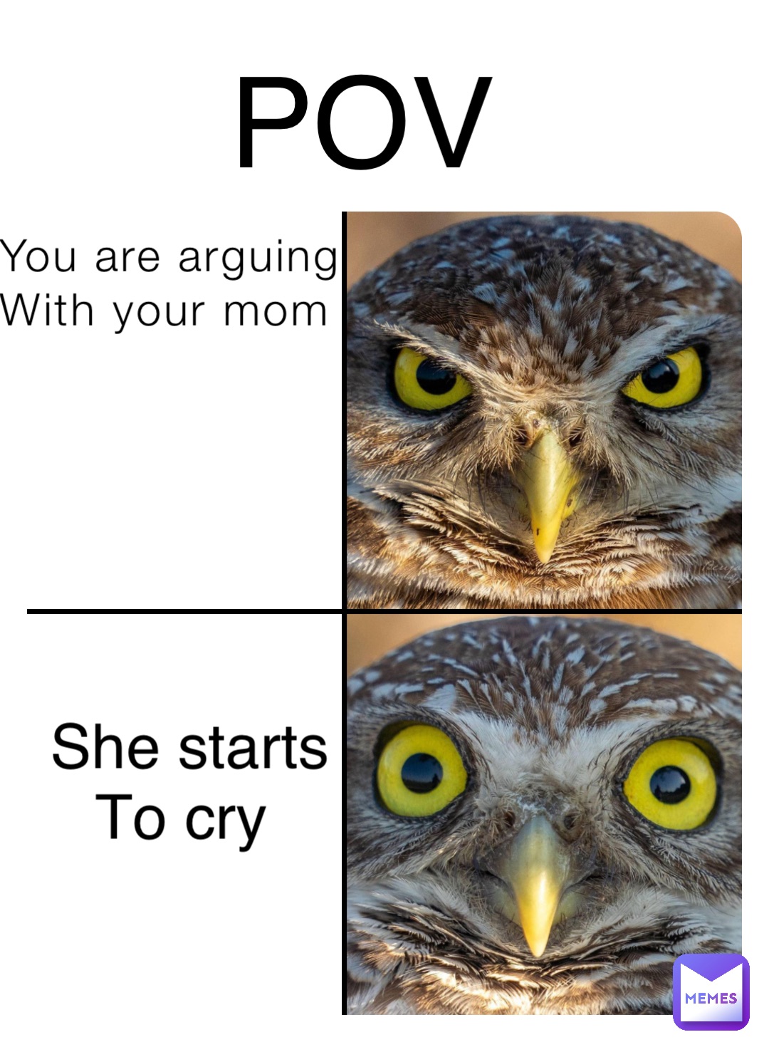 You are arguing 
With your mom She starts 
To cry POV