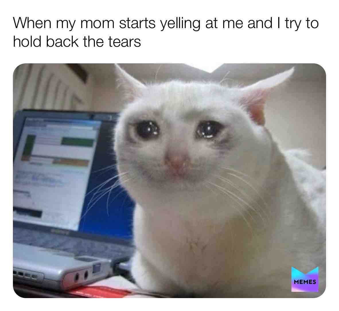 ...