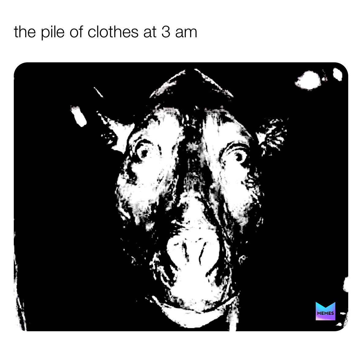 Meme by cactus_master