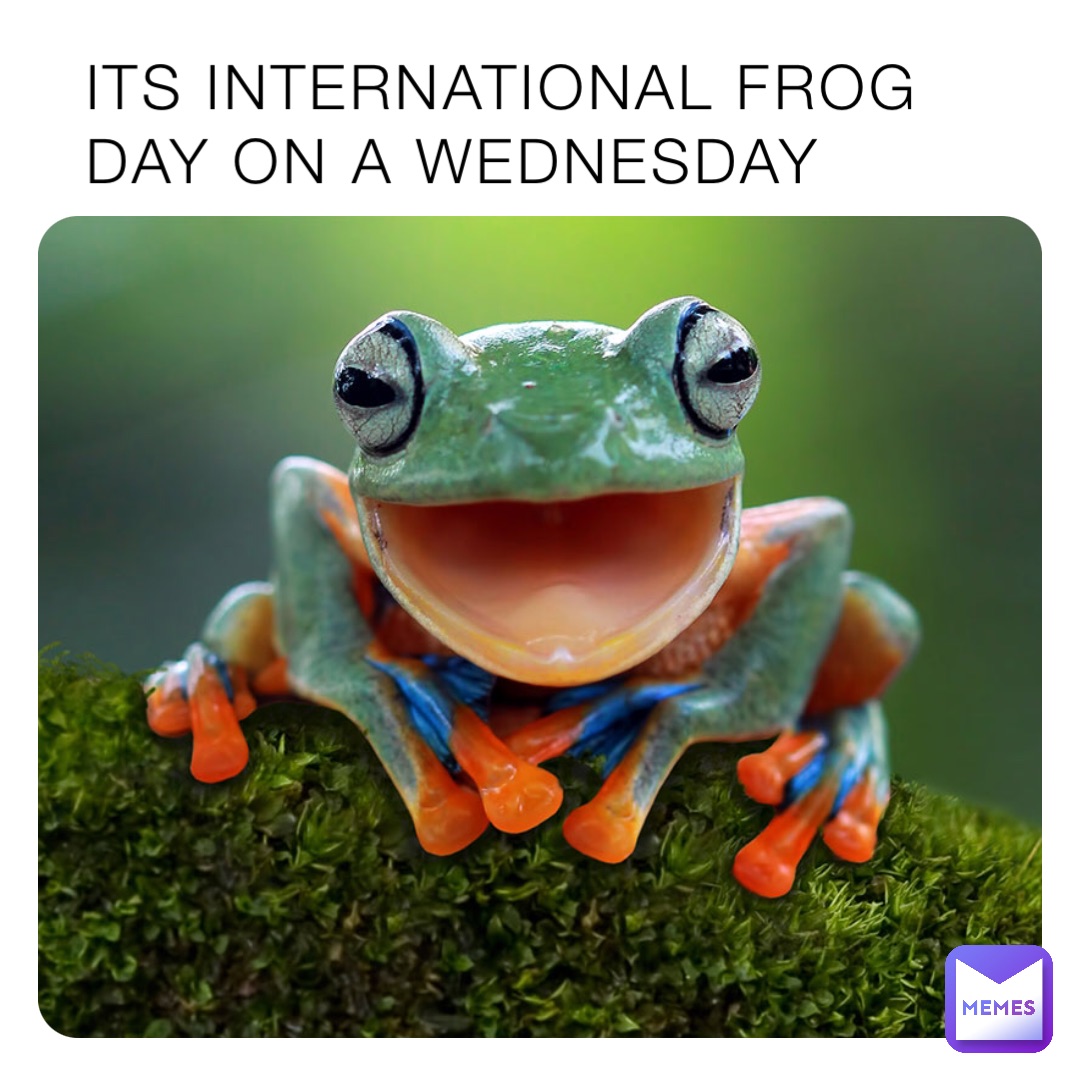 ITS INTERNATIONAL FROG DAY ON A WEDNESDAY cactus_master Memes