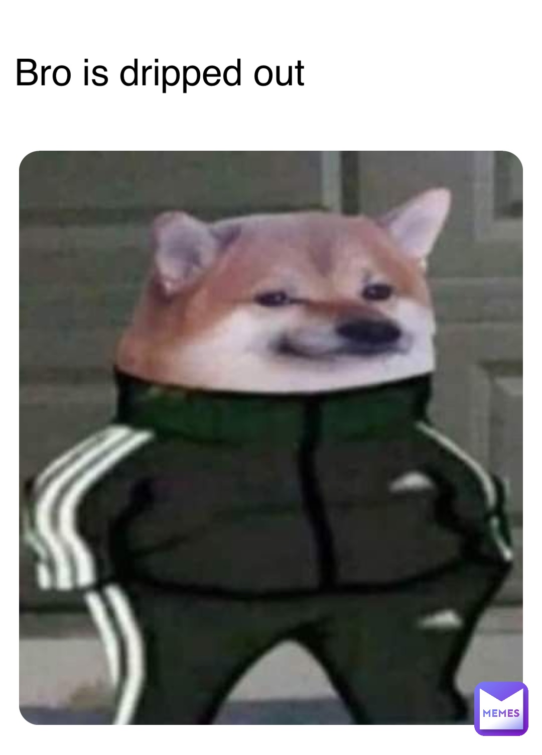 Double tap to edit Bro is dripped out