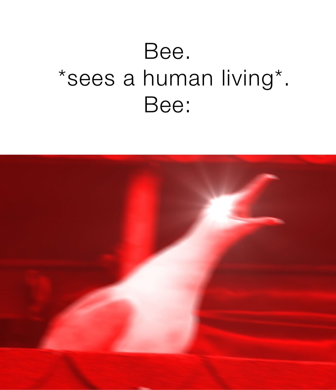 Meme by viral_awesomeness