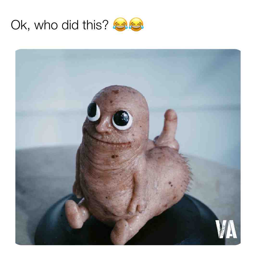 WTF is this 💩!?