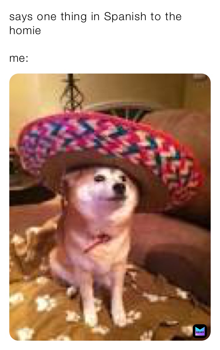 says one thing in Spanish to the homie

me: