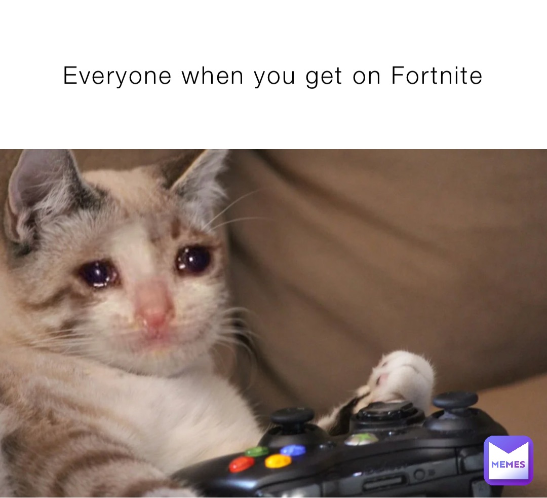 Everyone when you get on Fortnite