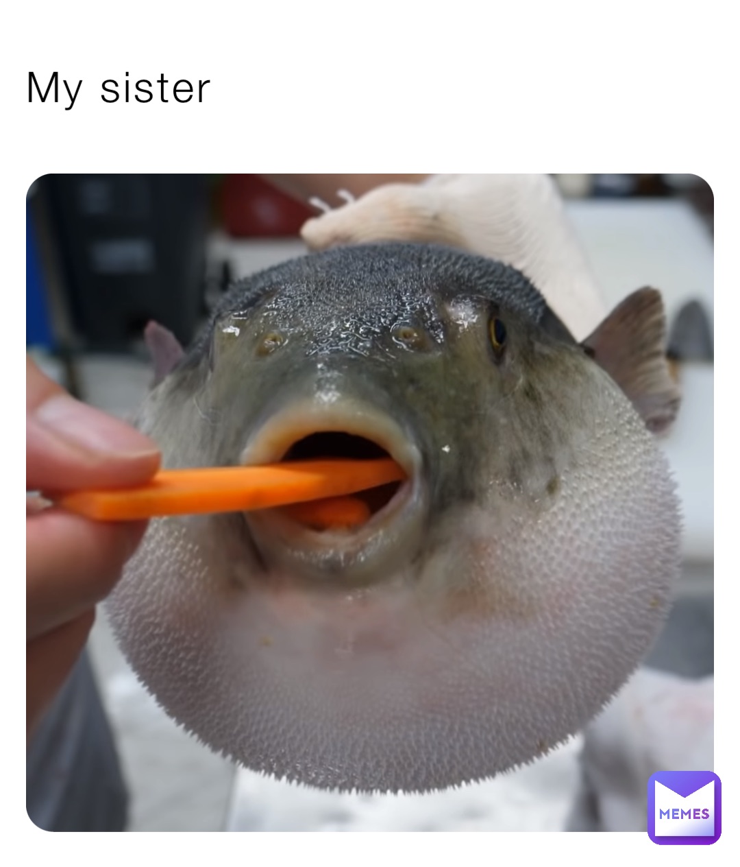 Meme by YoU_dOnT_sLaY_fRoGKing64