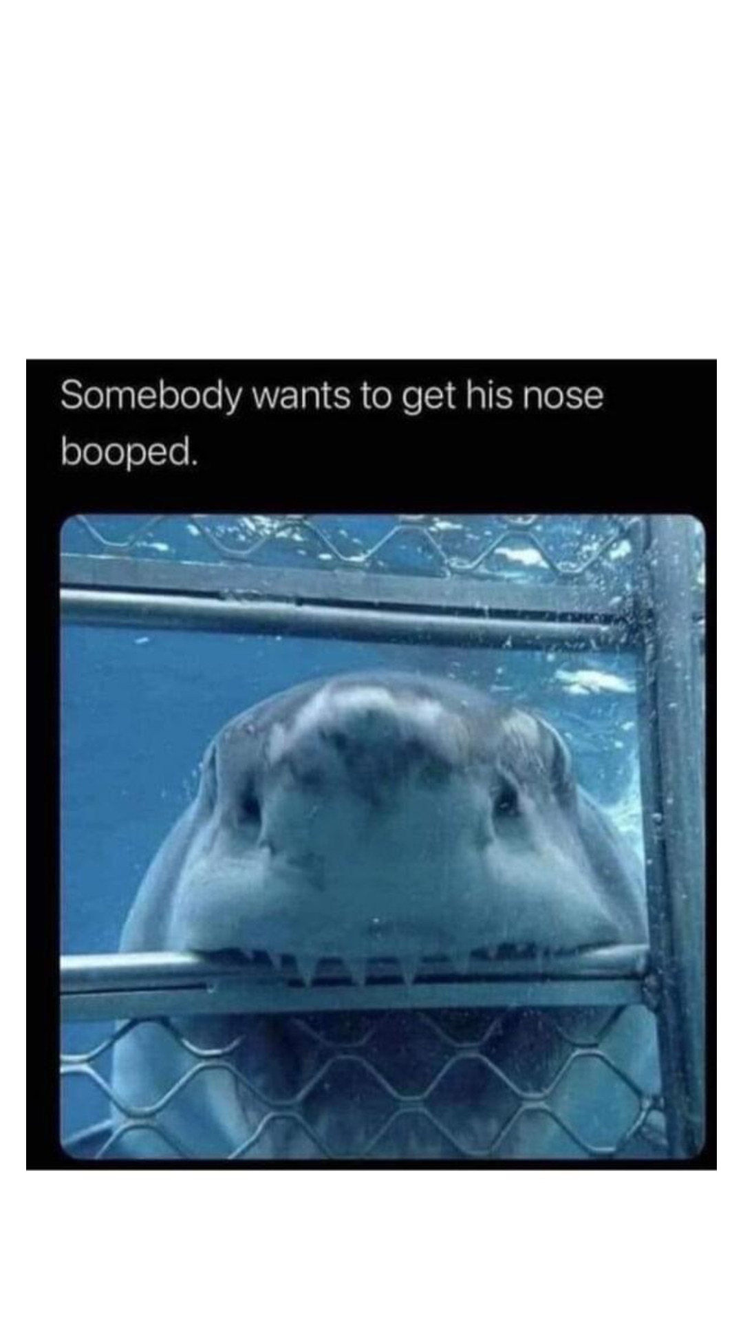 Double tap to edit
