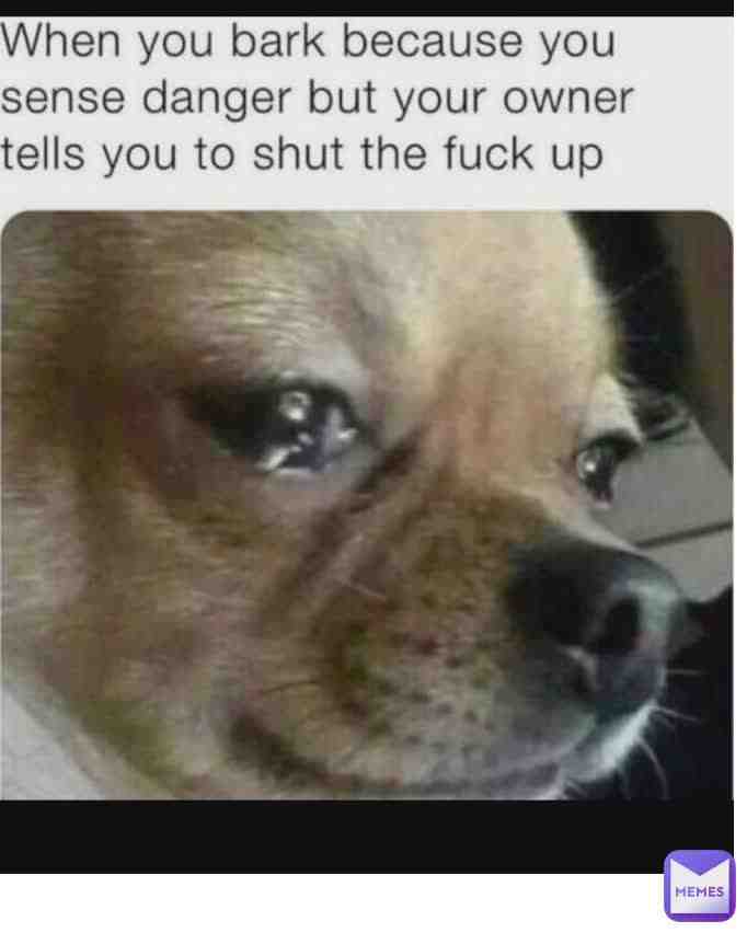 Meme preview